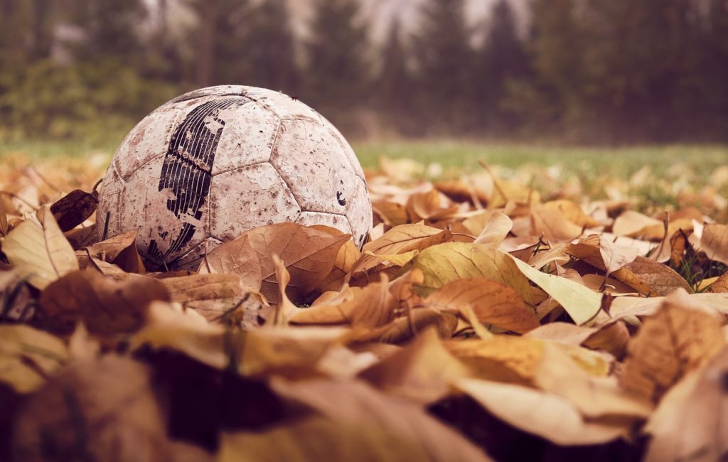 football, autumn, leaves