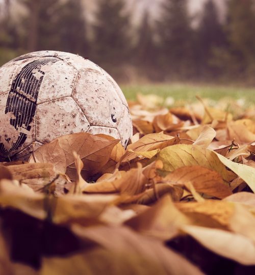 football, autumn, leaves